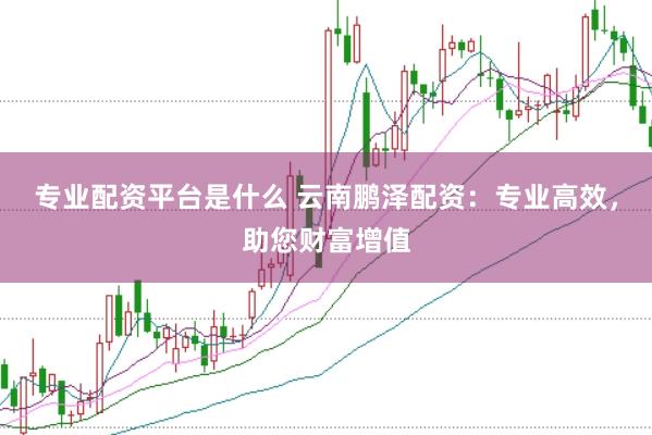 专业配资平台是什么 云南鹏泽配资：专业高效，助您财富增值