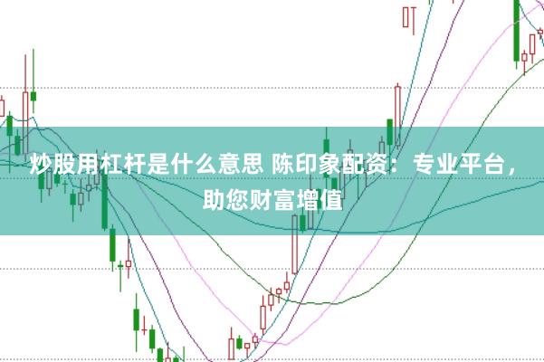 炒股用杠杆是什么意思 陈印象配资：专业平台，助您财富增值
