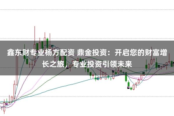 鑫东财专业杨方配资 鼎金投资：开启您的财富增长之旅，专业投资引领未来