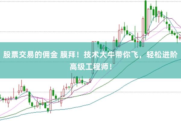 股票交易的佣金 膜拜！技术大牛带你飞，轻松进阶高级工程师！