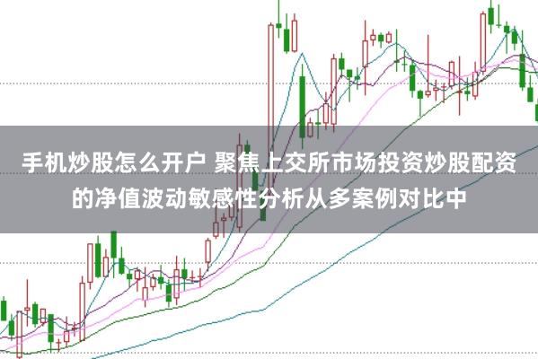 手机炒股怎么开户 聚焦上交所市场投资炒股配资的净值波动敏感性分析从多案例对比中