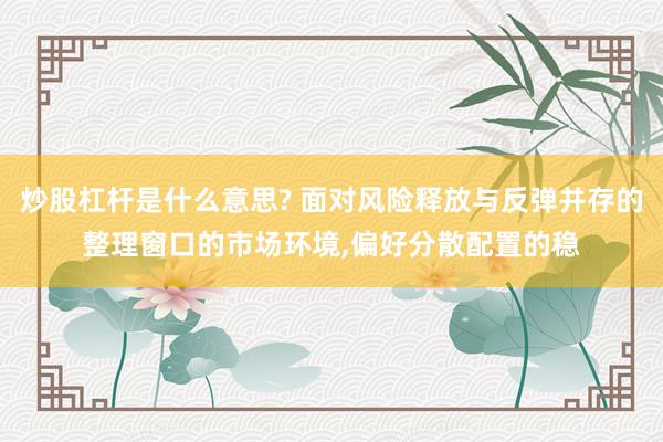 炒股杠杆是什么意思? 面对风险释放与反弹并存的整理窗口的市场环境,偏好分散配置的稳