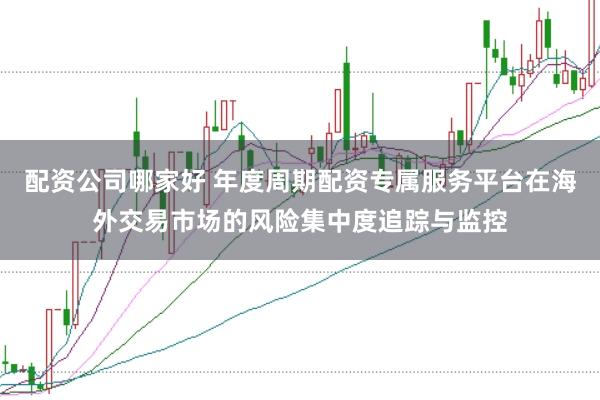 配资公司哪家好 年度周期配资专属服务平台在海外交易市场的风险集中度追踪与监控