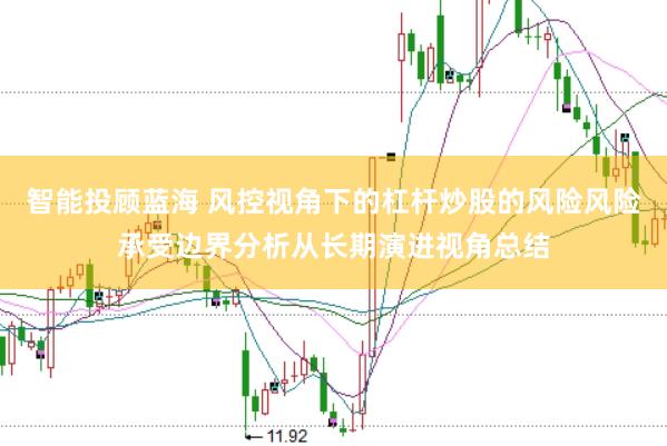 智能投顾蓝海 风控视角下的杠杆炒股的风险风险承受边界分析从长期演进视角总结