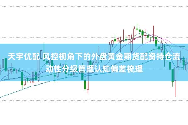 天宇优配 风控视角下的外盘黄金期货配资持仓流动性分级管理认知偏差梳理