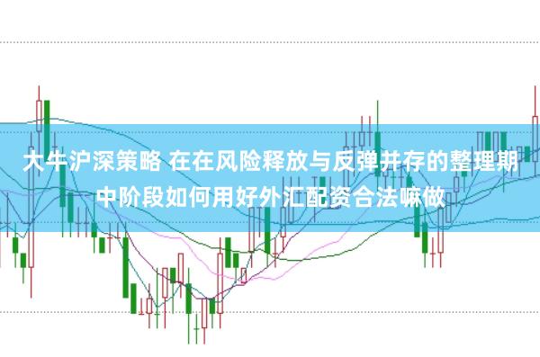 大牛沪深策略 在在风险释放与反弹并存的整理期中阶段如何用好外汇配资合法嘛做