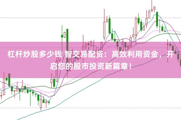 杠杆炒股多少钱 智交易配资：高效利用资金，开启您的股市投资新篇章！