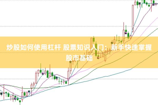 炒股如何使用杠杆 股票知识入门：新手快速掌握股市基础