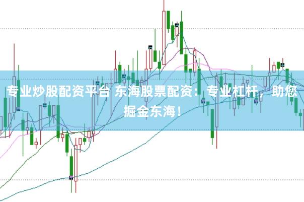 专业炒股配资平台 东海股票配资：专业杠杆，助您掘金东海！