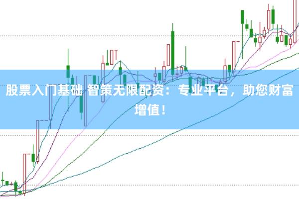 股票入门基础 智策无限配资：专业平台，助您财富增值！